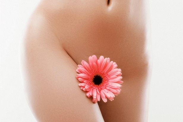 klasické bikiny shugaring